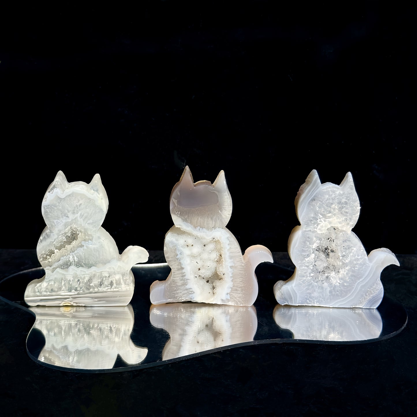 Agate Cat