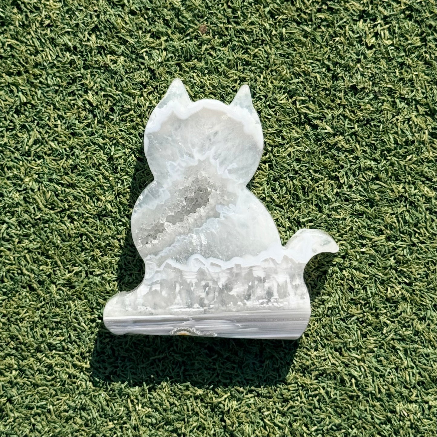 Agate Cat