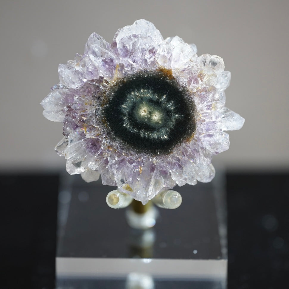 紫晶花