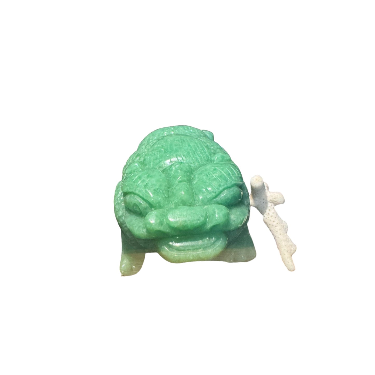 Dragon turtle