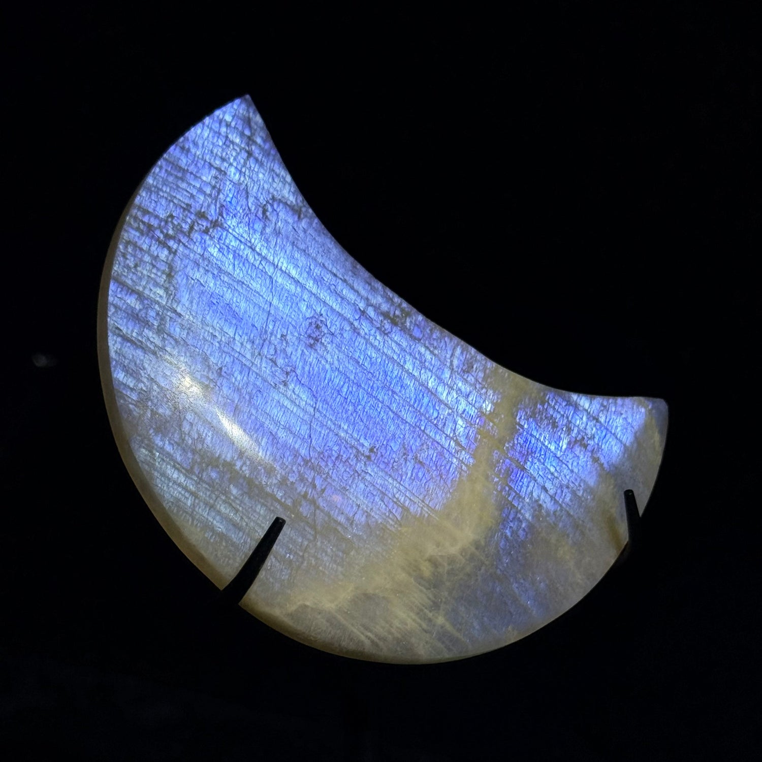 化病氣 🩺｜病符．體質．康復支持