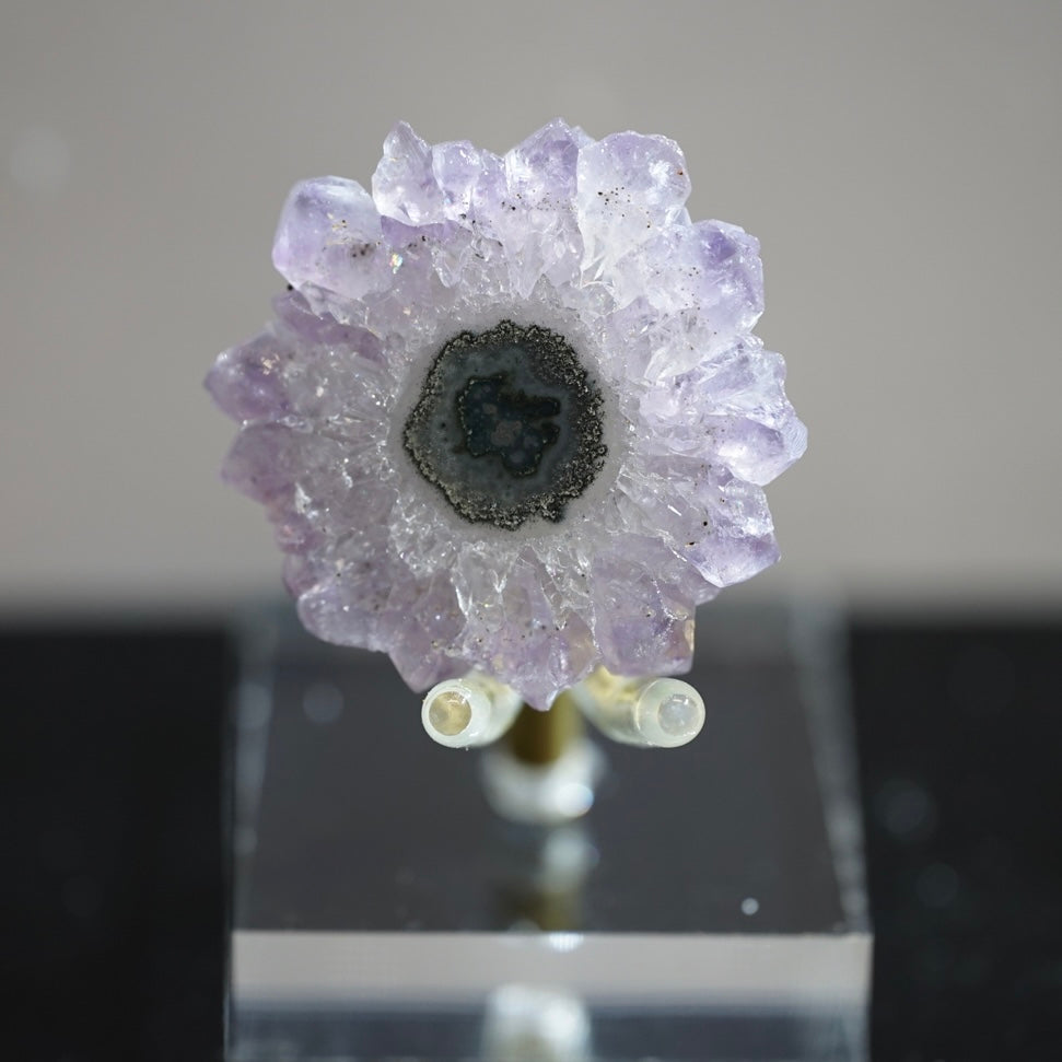紫晶花
