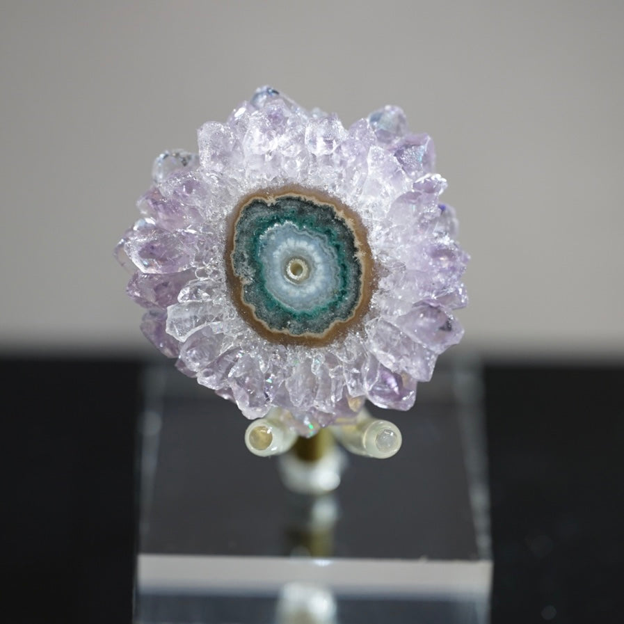 紫晶花