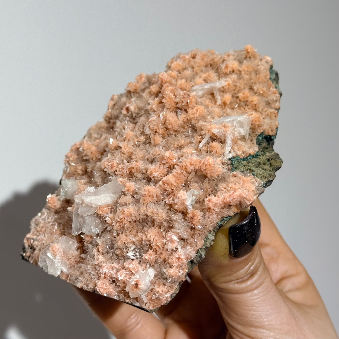 魚眼石粉底沸石共生