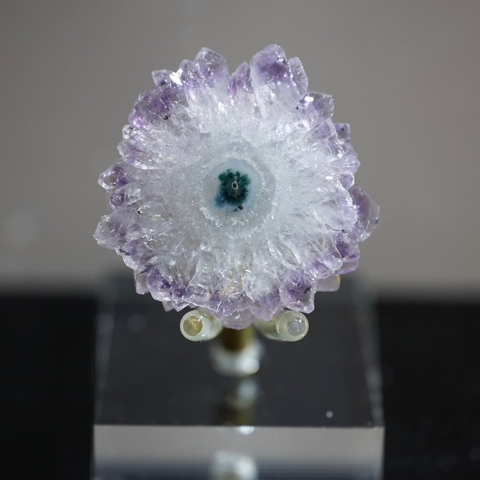 紫晶花