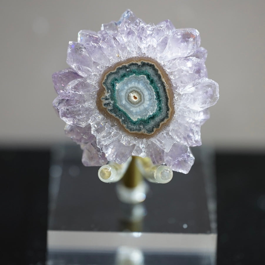 紫晶花