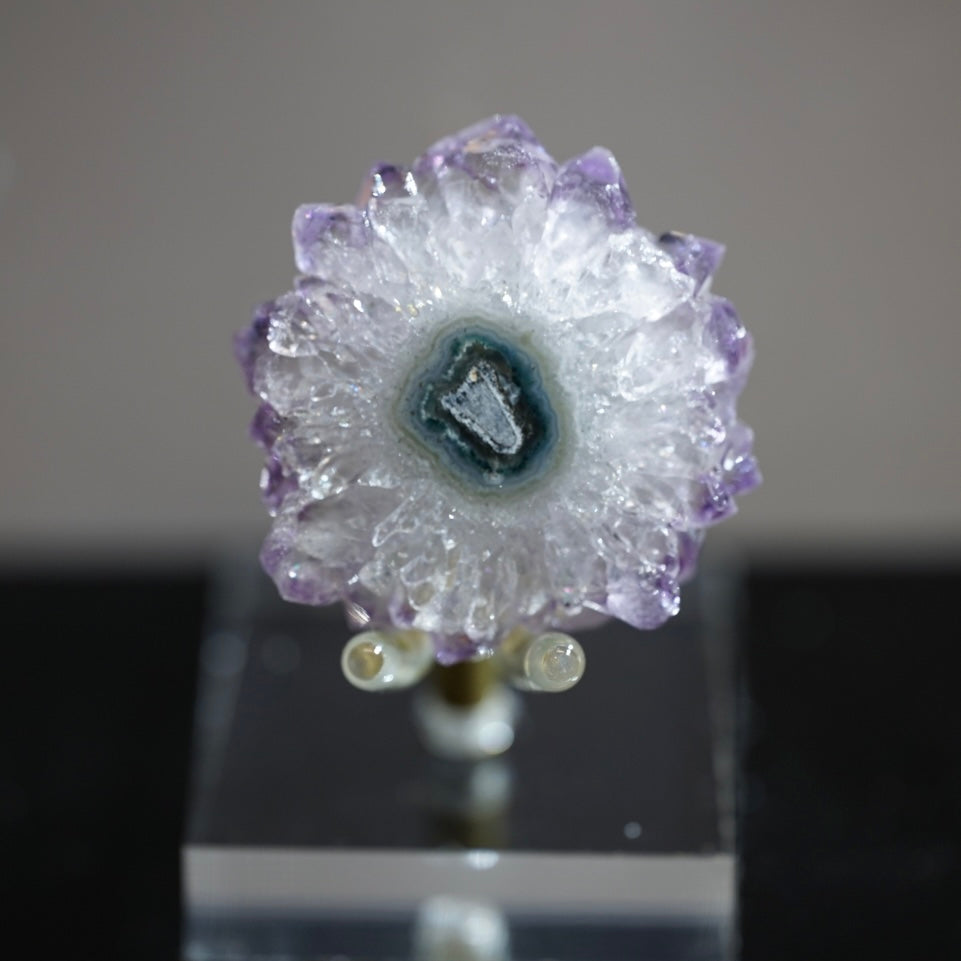 紫晶花