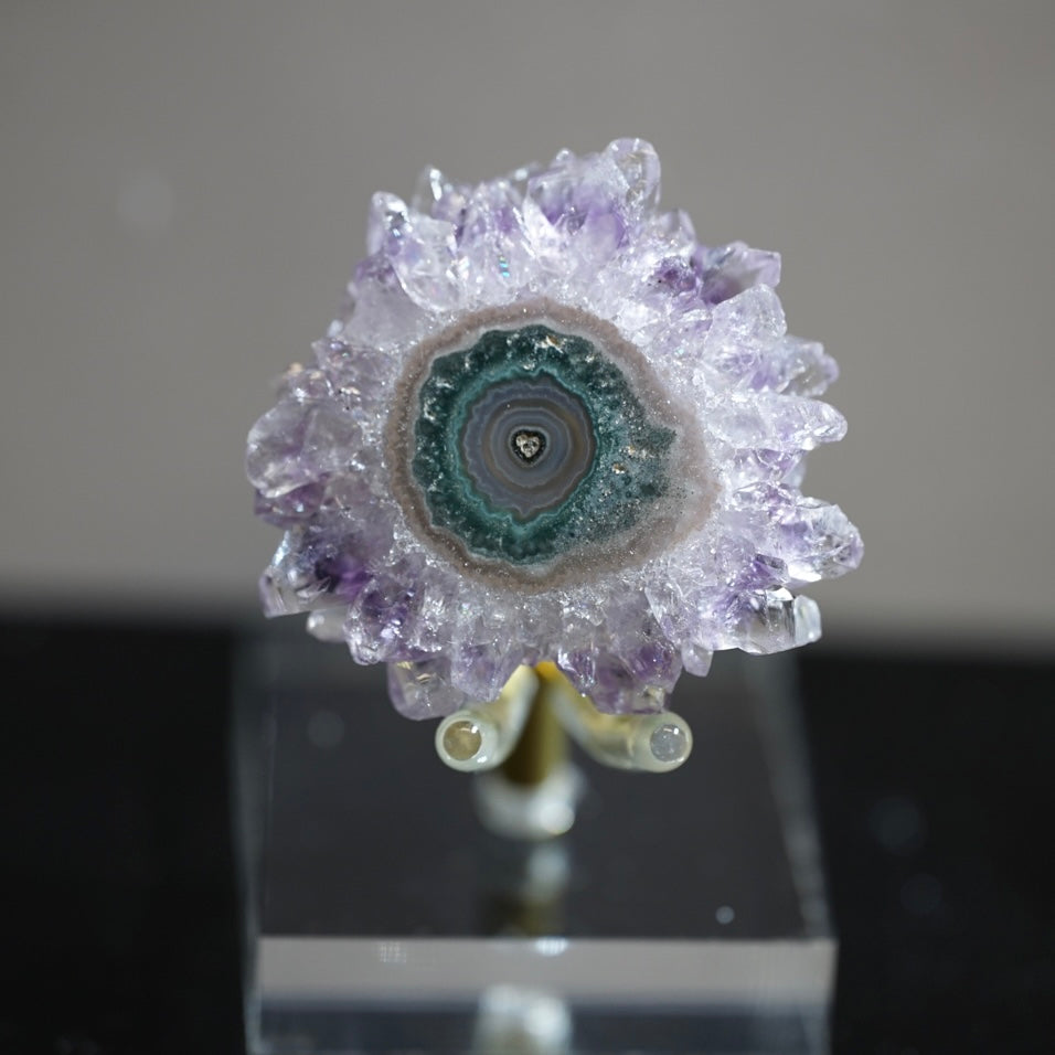 紫晶花