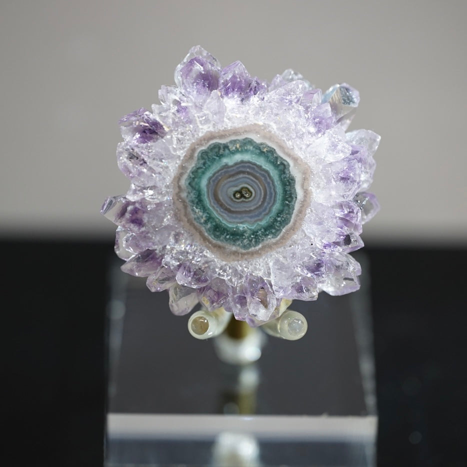 紫晶花