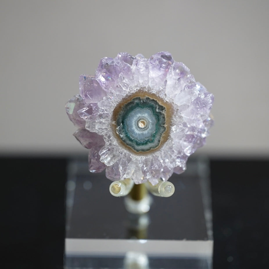 紫晶花