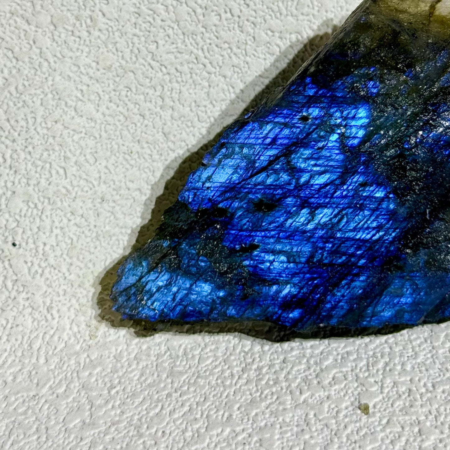 高光拉長石原礦大件 - G｜天然拉長石爆閃原礦｜High Flash Labradorite Specimen｜靈性轉化・高我連結・保護場域・直覺覺醒 (副本) (副本) (副本) (副本) (副本)
