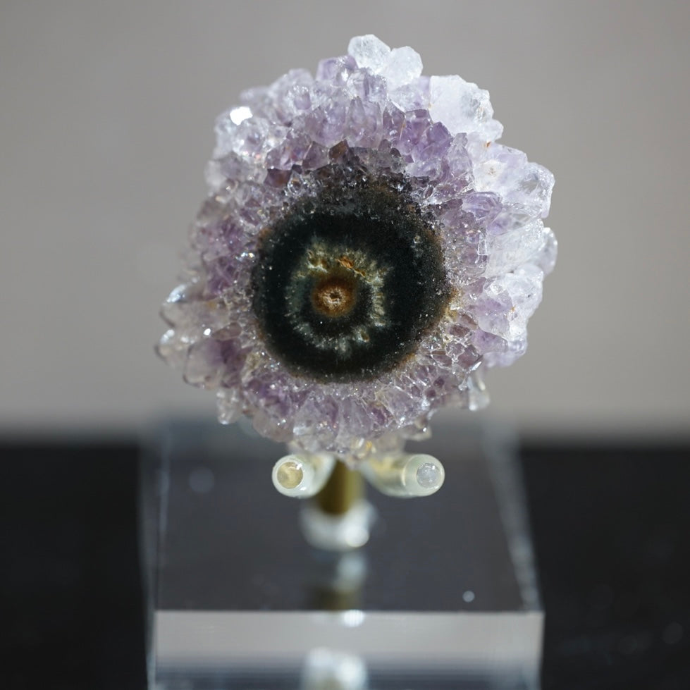 紫晶花