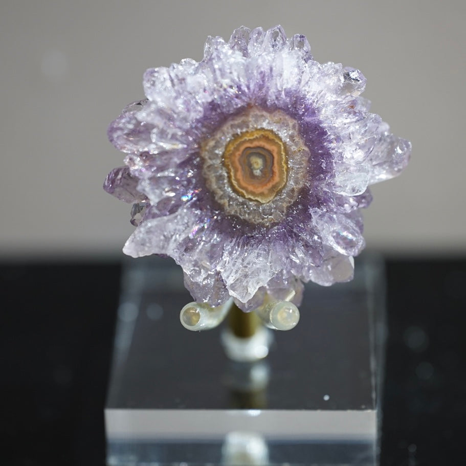 紫晶花