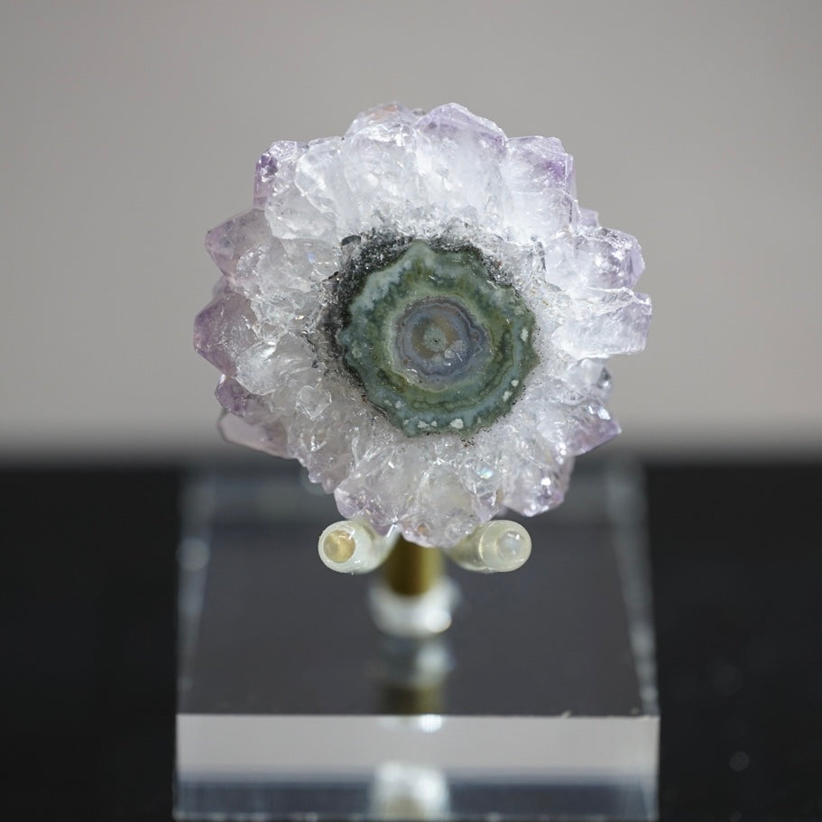 紫晶花